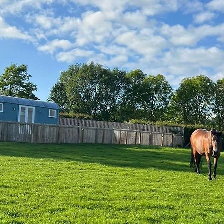 Wee Shepherds Hut Maybole Extérieur photo